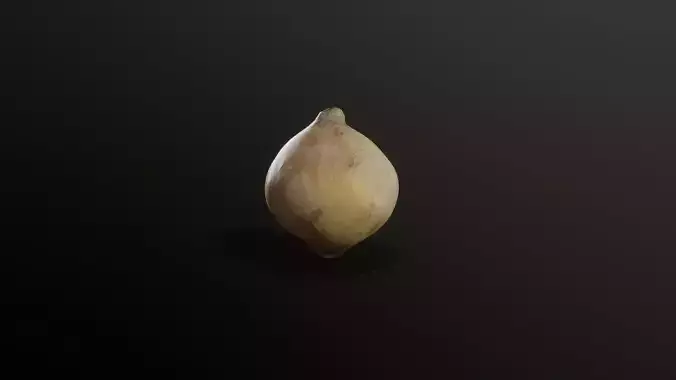 3D Scan Onion 01