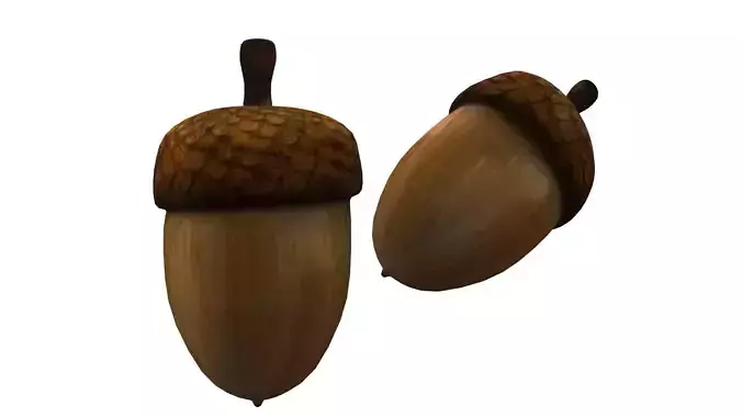 Acorn nut