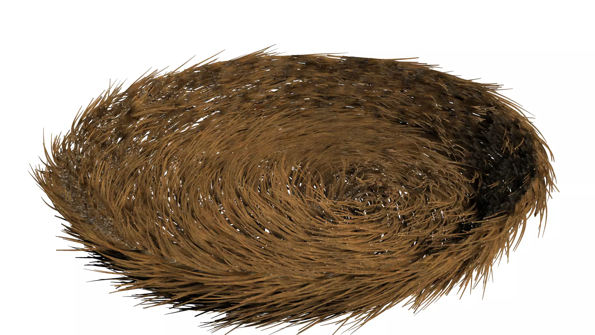 bird nest 3D model_0