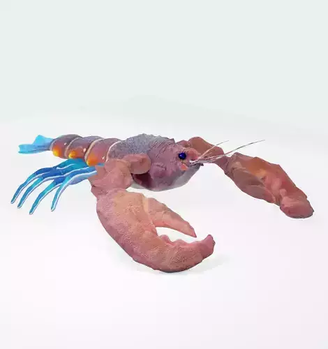 Atlantic colorful Lobster rigged 3D Model