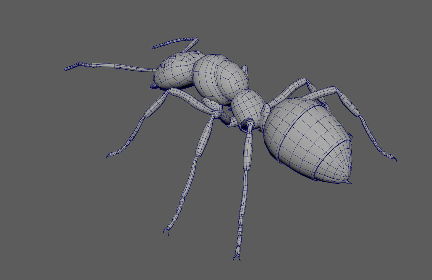 Black Ant Low-poly 3D model_11