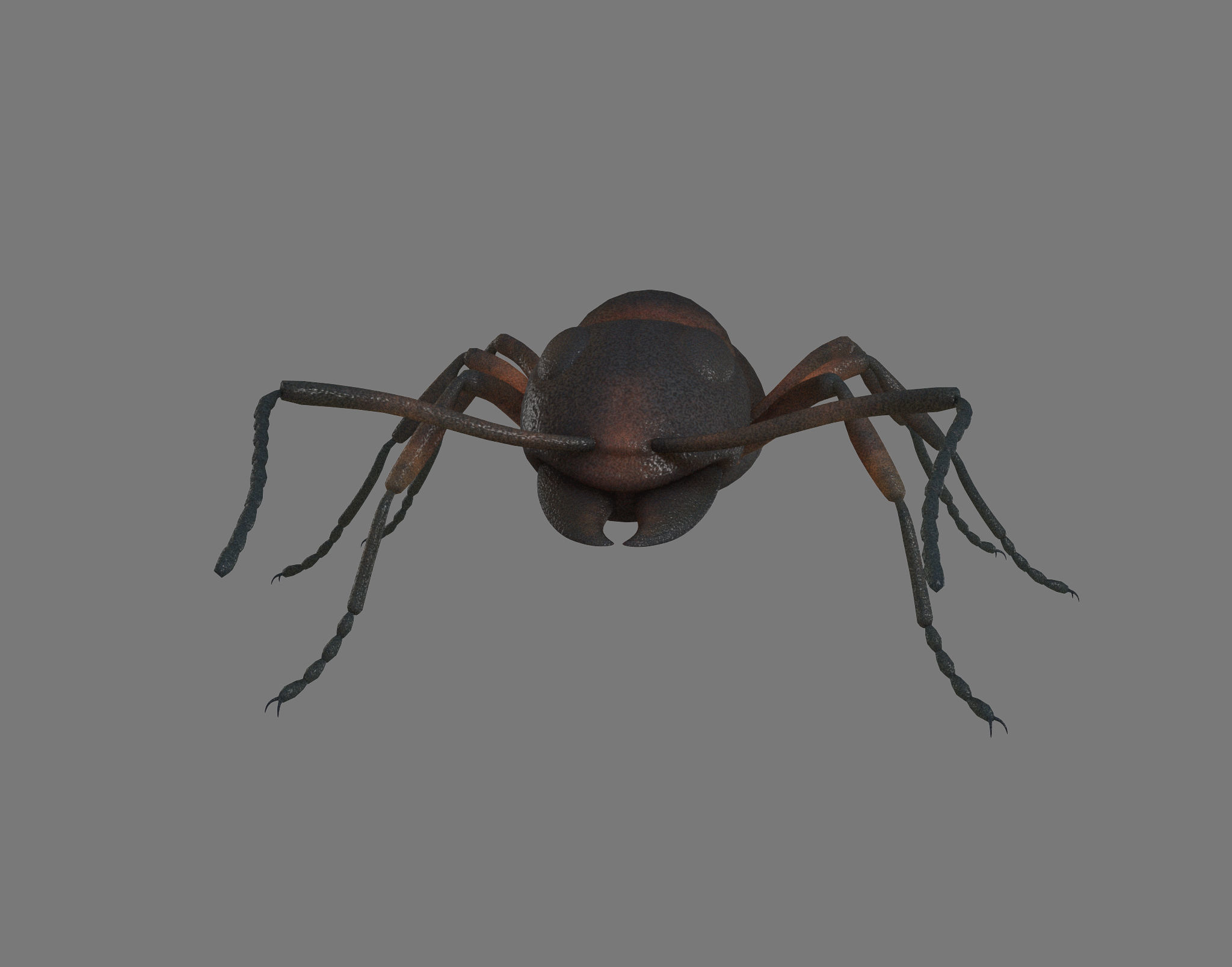 Black Ant Low-poly 3D model_2