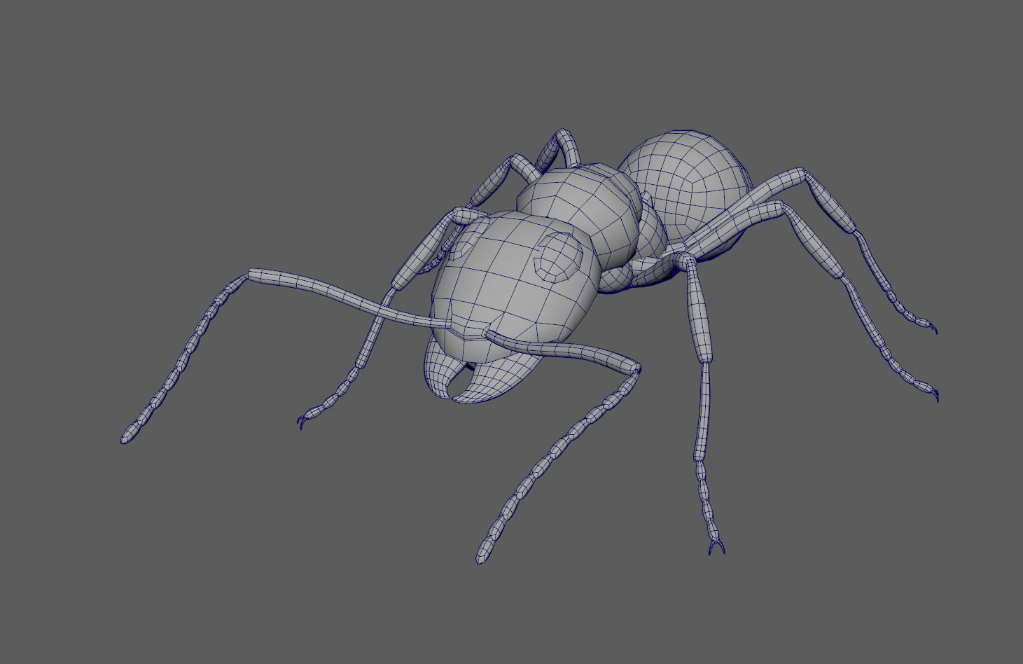 Black Ant Low-poly 3D model_8