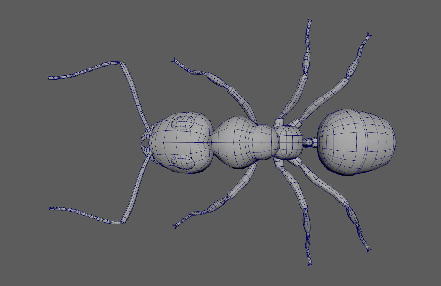 Black Ant Low-poly 3D model_12