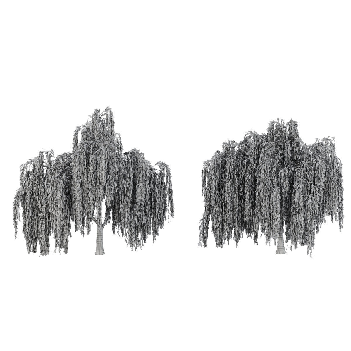 collection willow trees vol 23 3D model_3