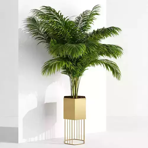 Houseplant 76 wall version