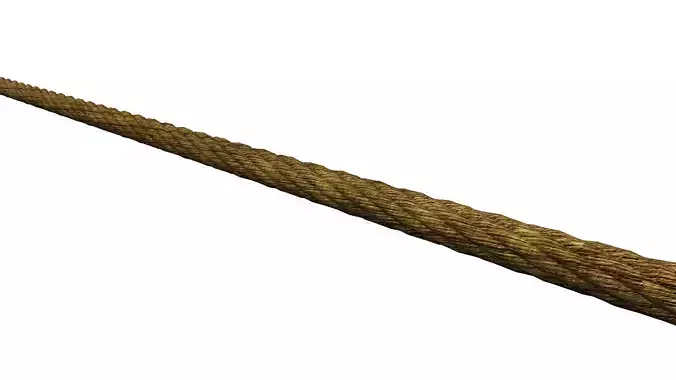 rope Rigged 3D model