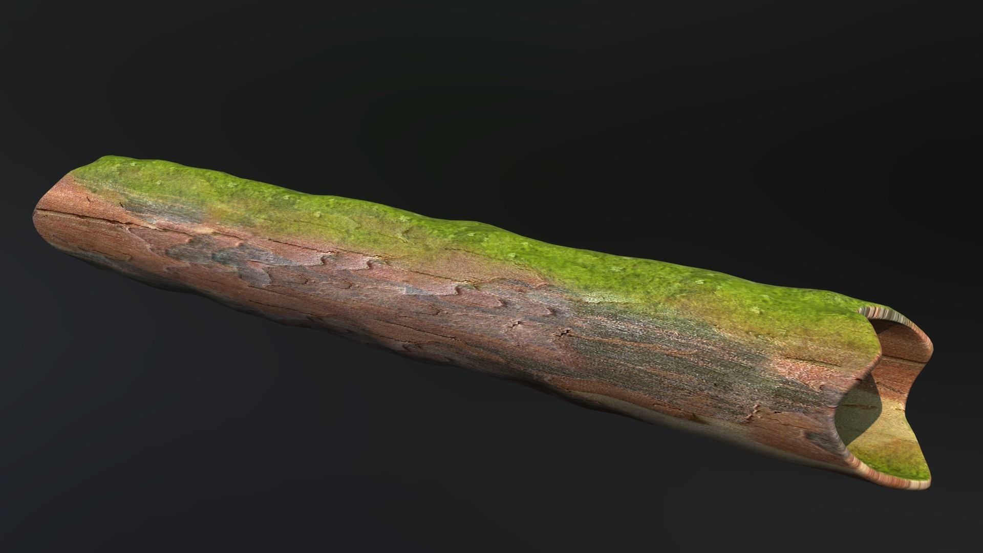 wood  body 3d model 3D model_1