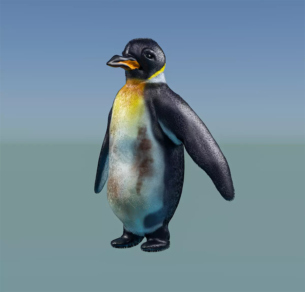 Emperor Penguin 3D model_0