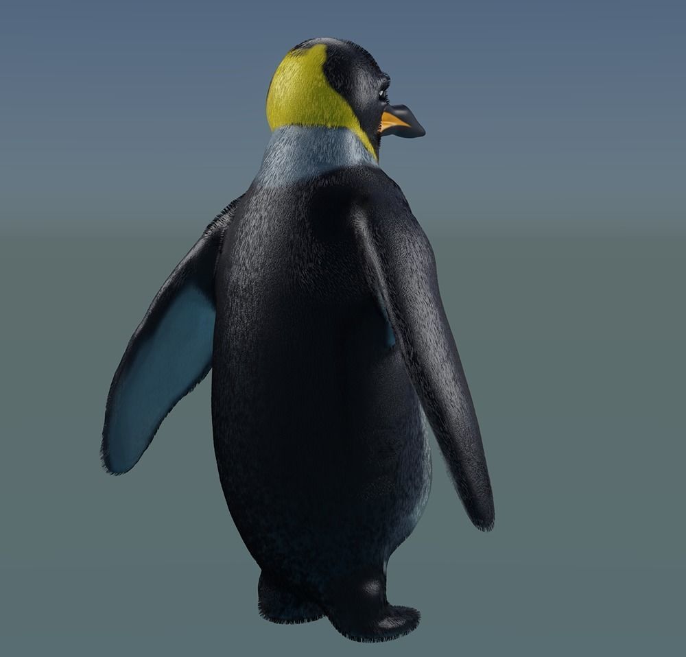 Emperor Penguin 3D model_2