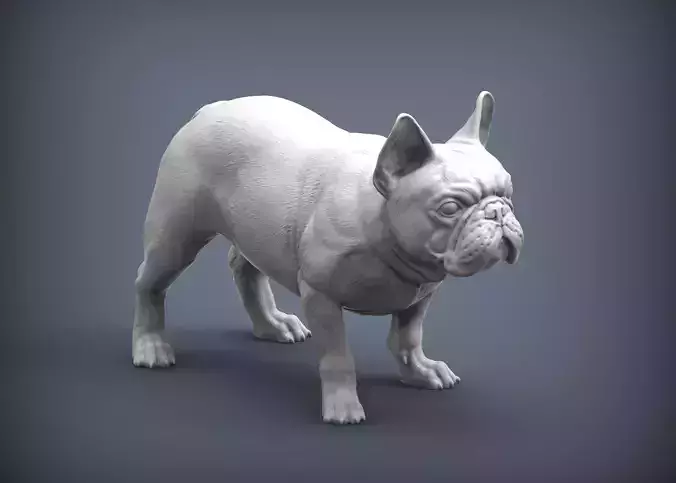 French Bulldog 3D print model