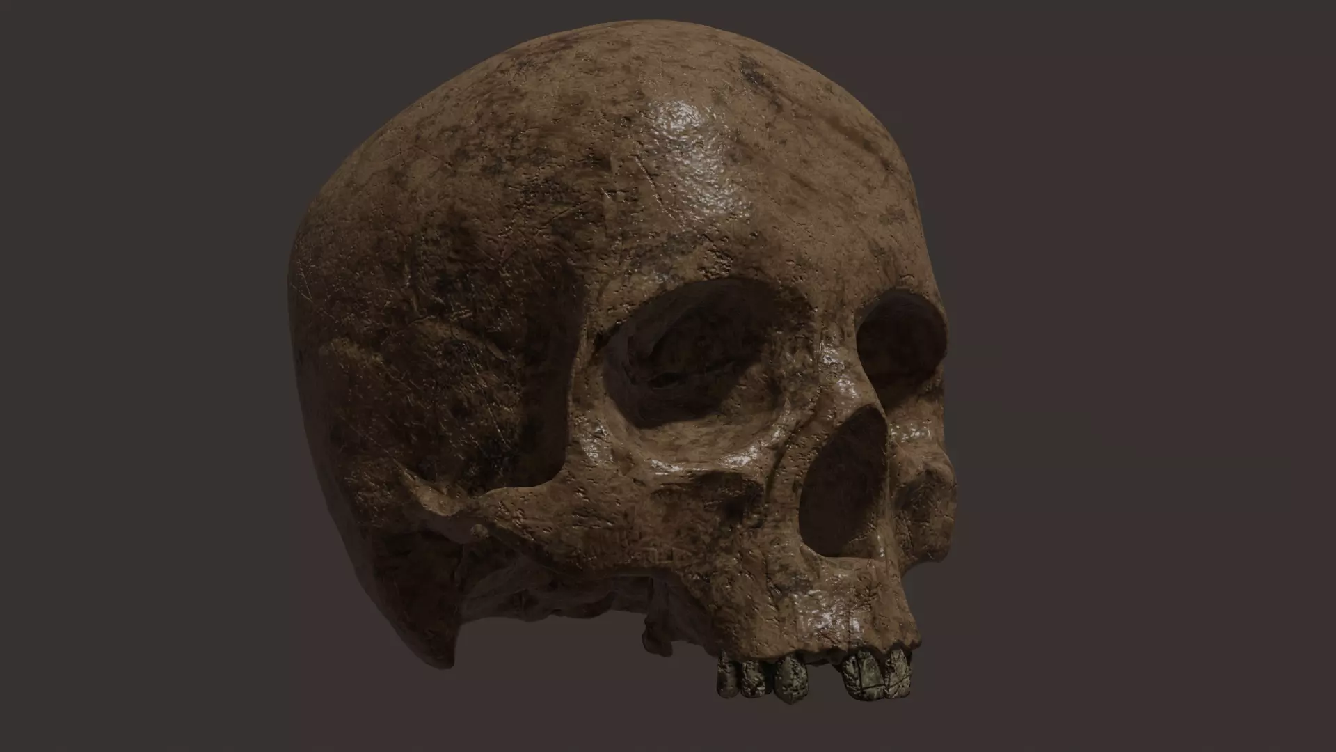 Scull Free 3D model