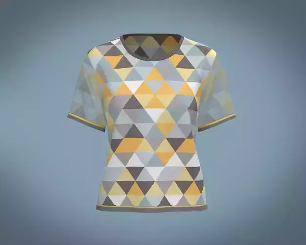 Ladies Triangle Print Tops 3D model
