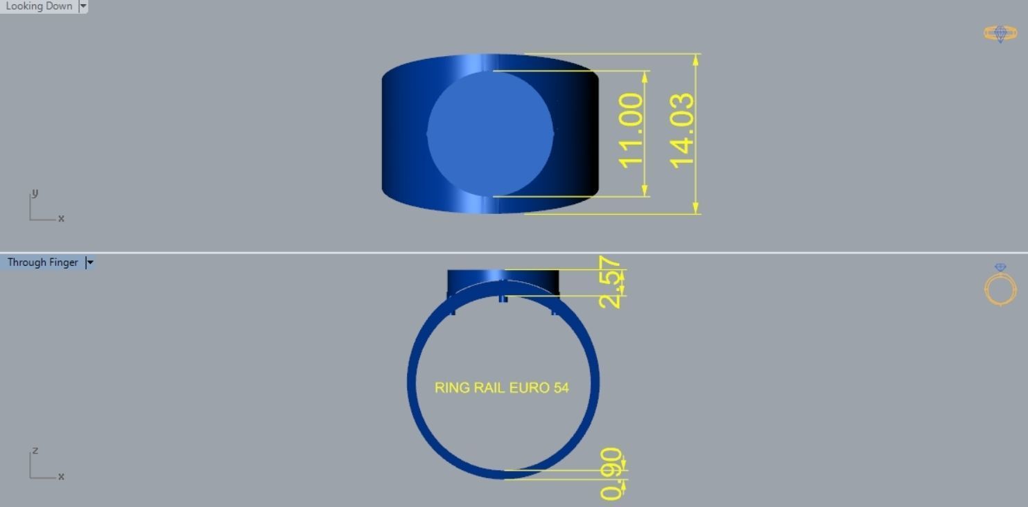 Ring R 65 3D print model_3