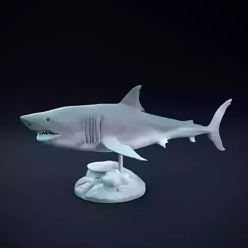 Great white shark swimming intended for 3D printing 3D print model