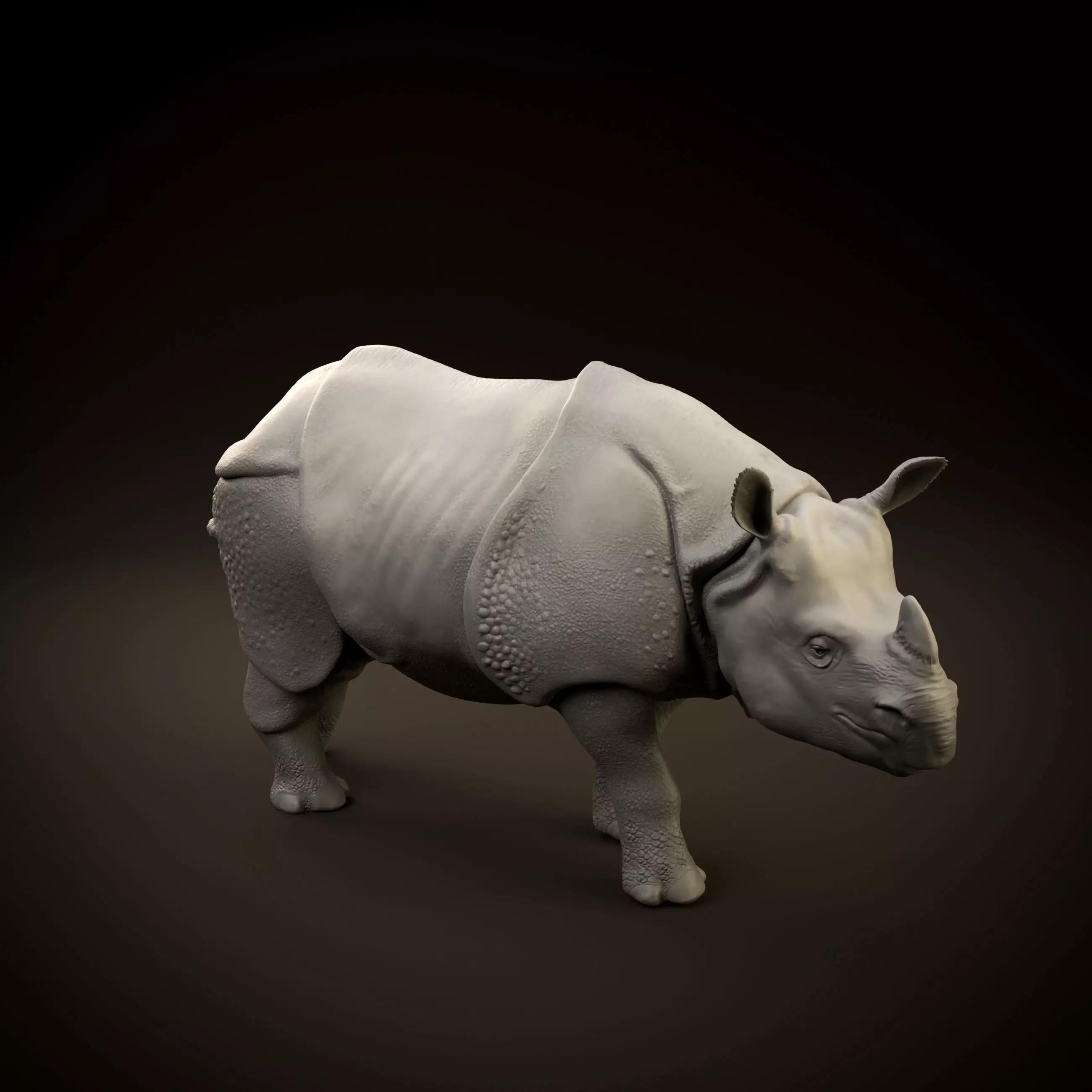 Indian rhinoceros intended for 3D printing 3D print model_0