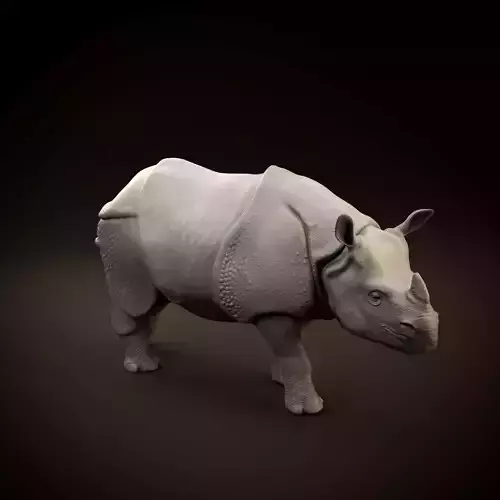 Indian rhinoceros intended for 3D printing