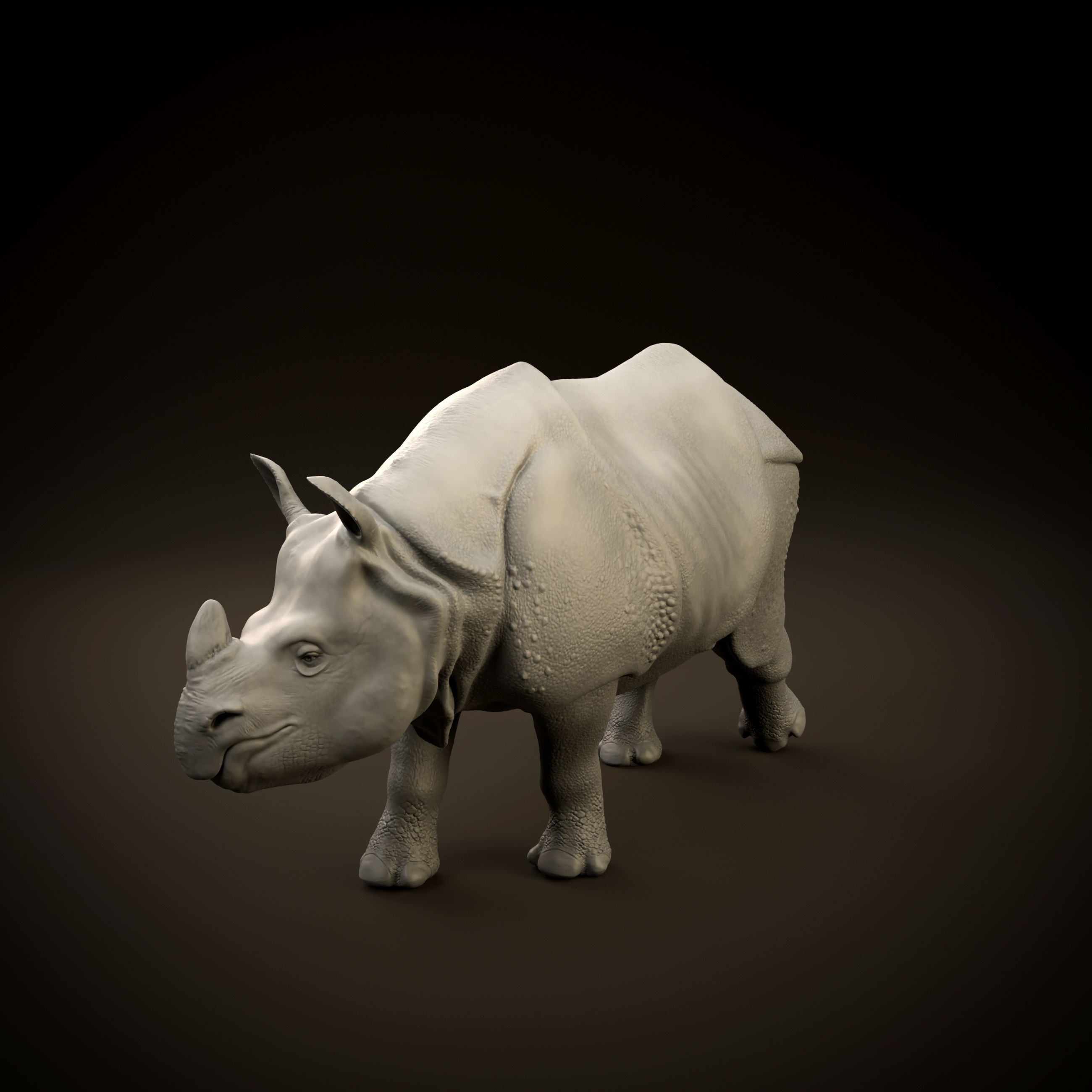 Indian rhinoceros intended for 3D printing 3D print model_12