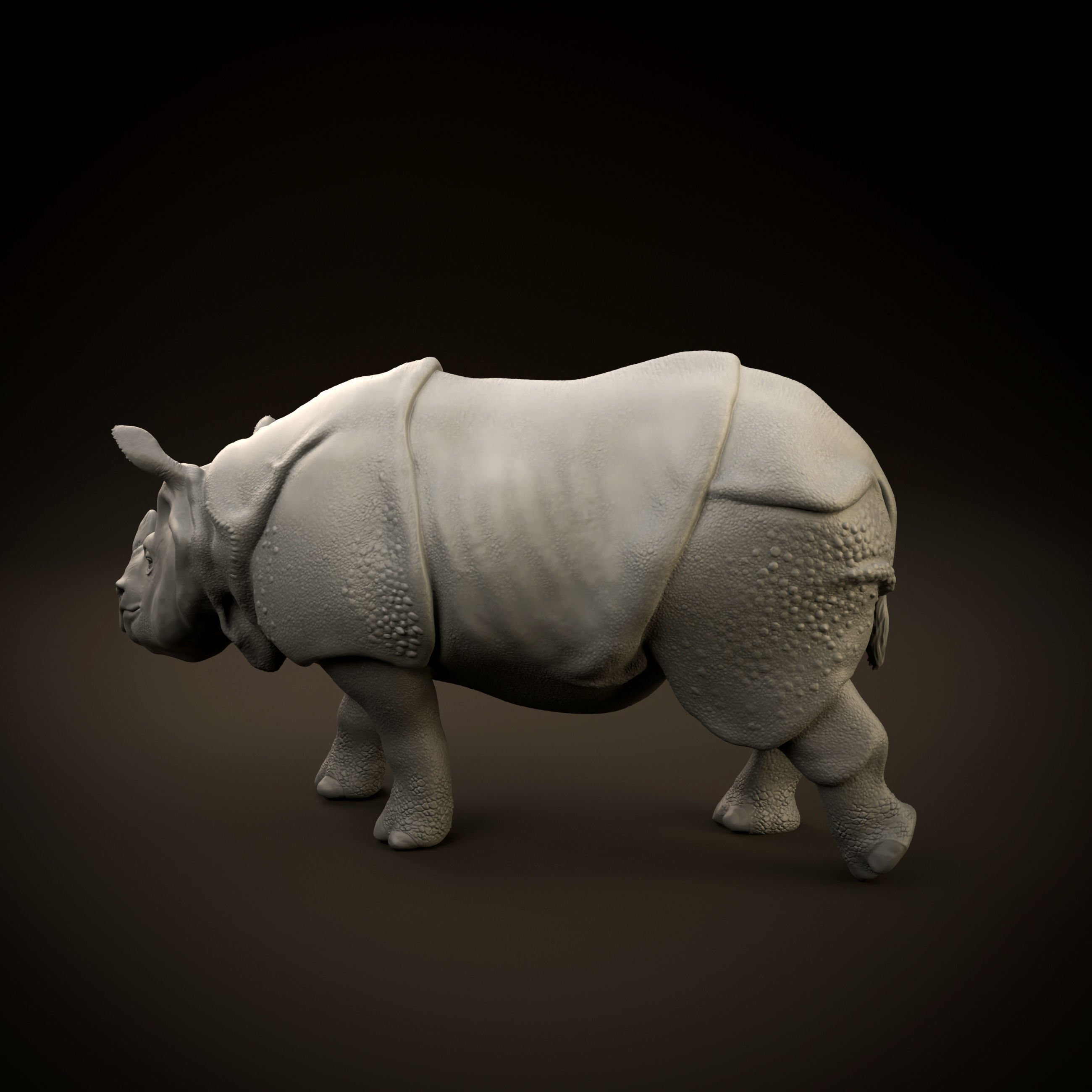 Indian rhinoceros intended for 3D printing 3D print model_10
