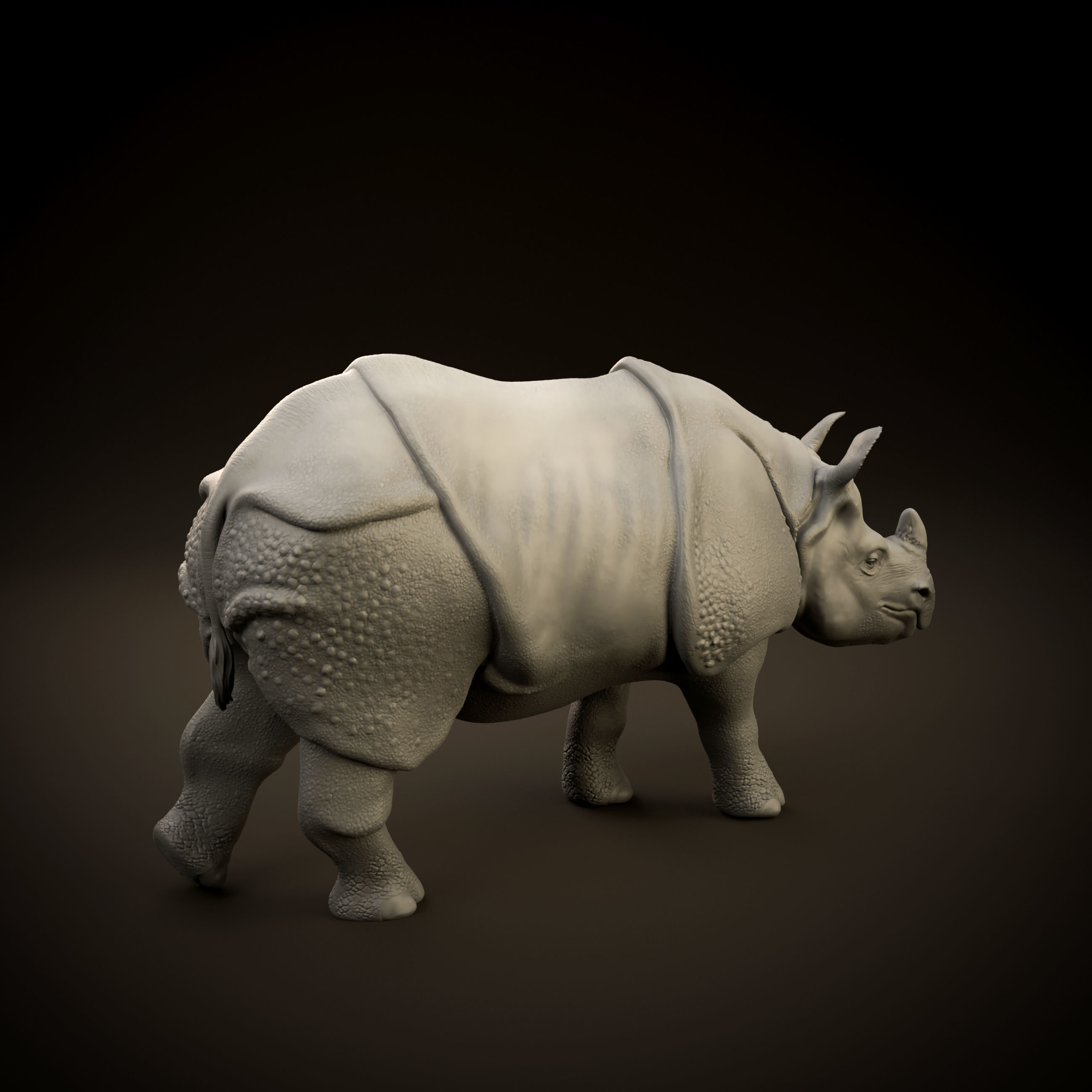Indian rhinoceros intended for 3D printing 3D print model_7
