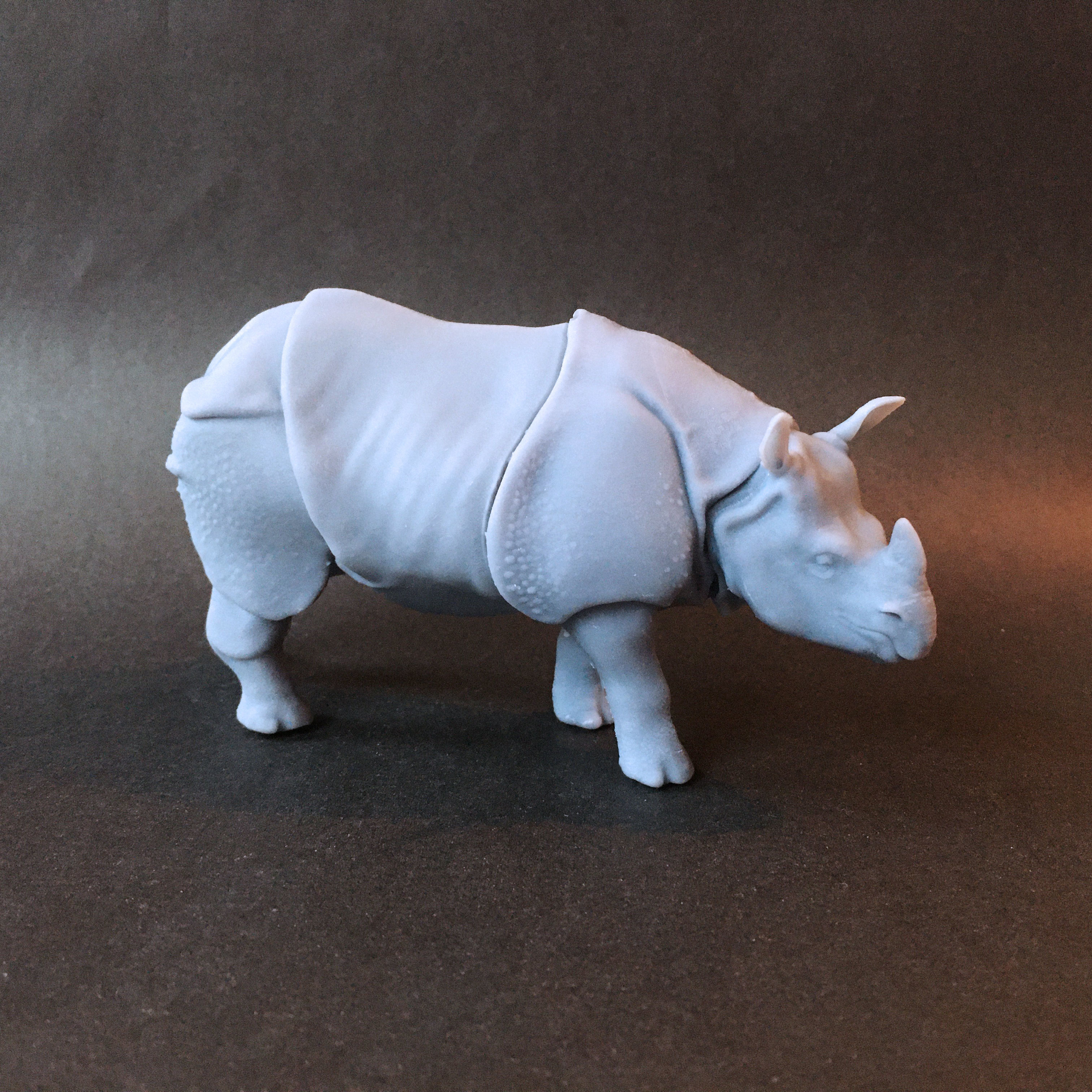 Indian rhinoceros intended for 3D printing 3D print model_1