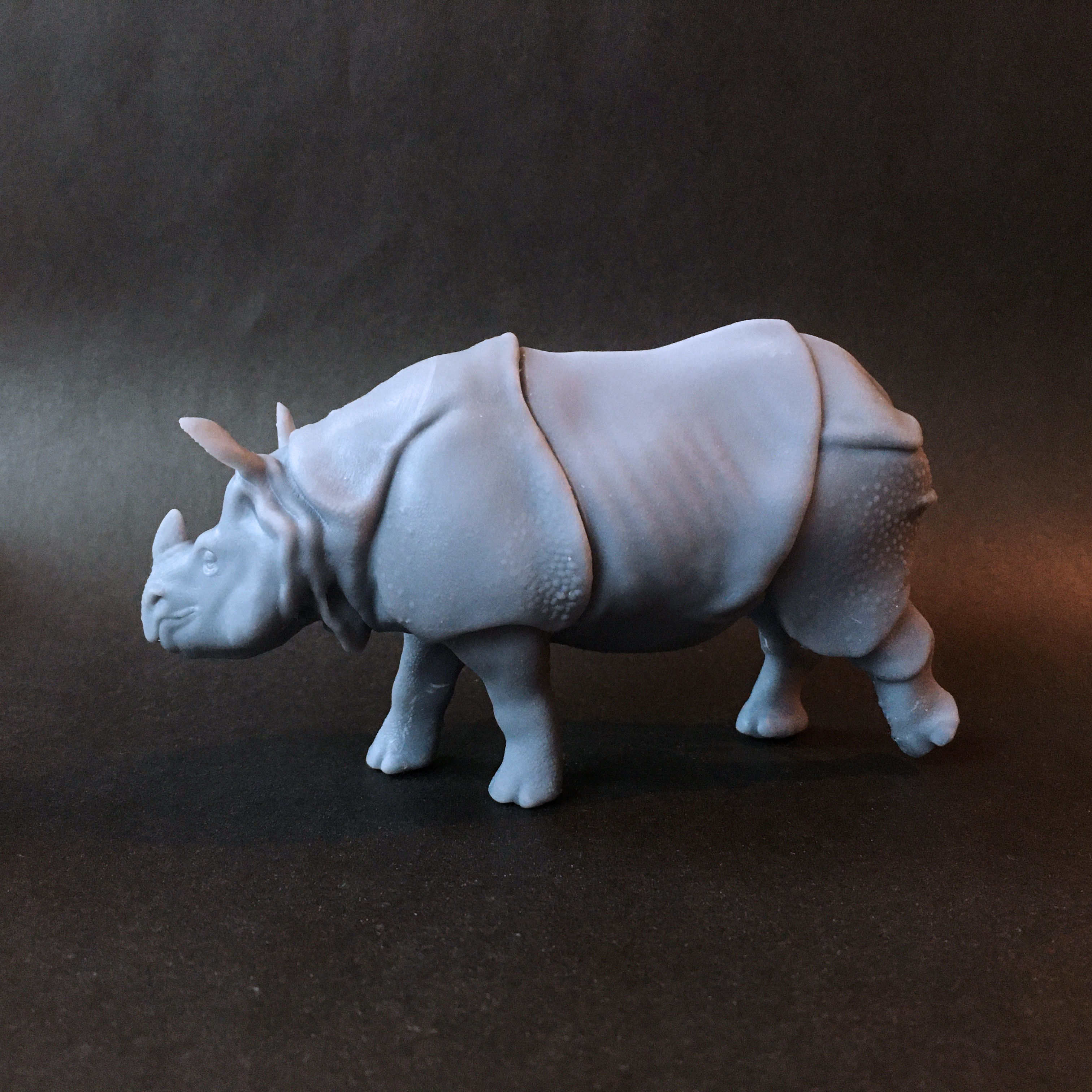 Indian rhinoceros intended for 3D printing 3D print model_2