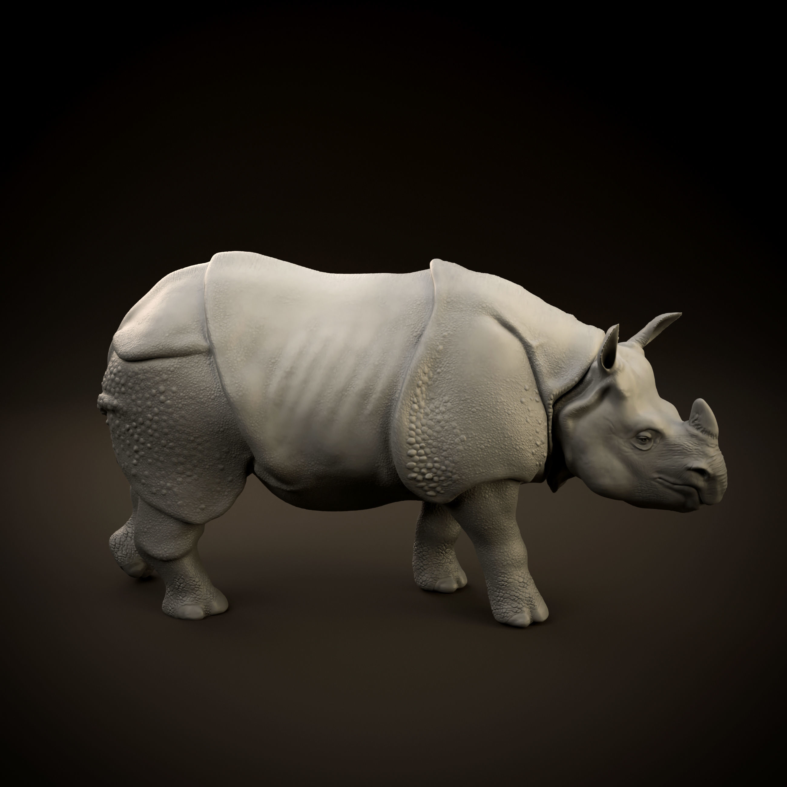 Indian rhinoceros intended for 3D printing 3D print model_6