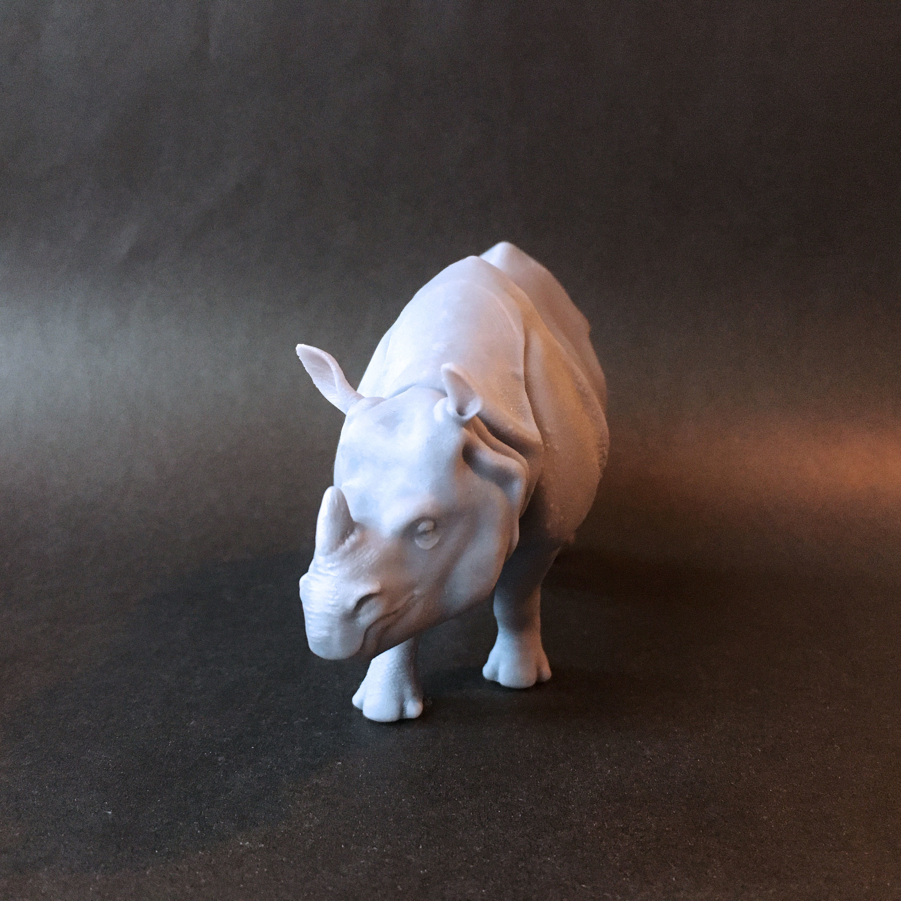 Indian rhinoceros intended for 3D printing 3D print model_3