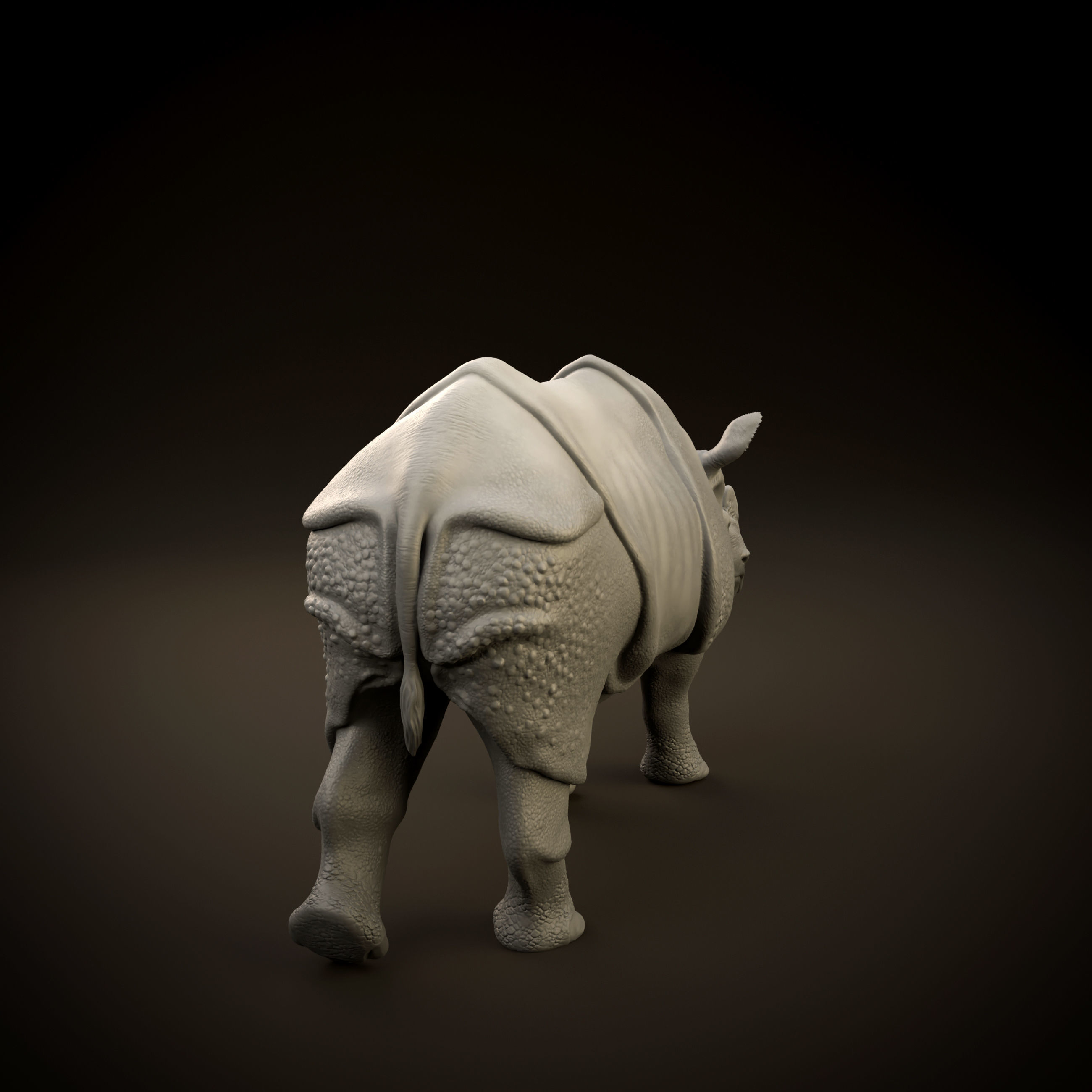 Indian rhinoceros intended for 3D printing 3D print model_8