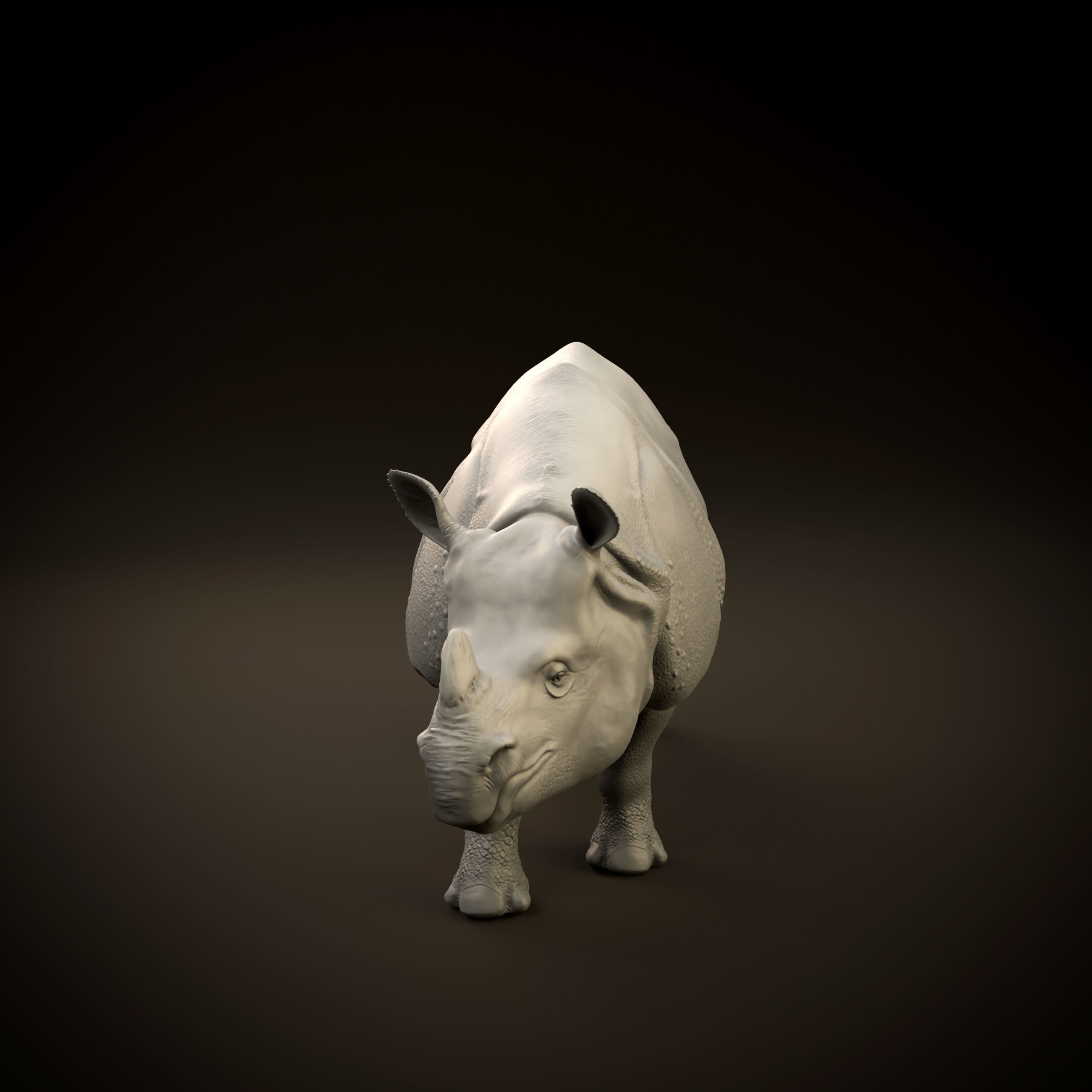 Indian rhinoceros intended for 3D printing 3D print model_5