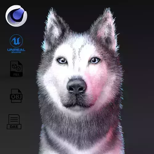 Photo realistic looking Dog