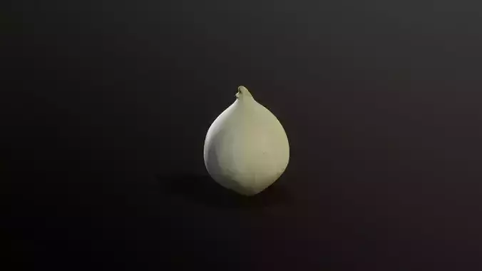 3D Scan Onion 02