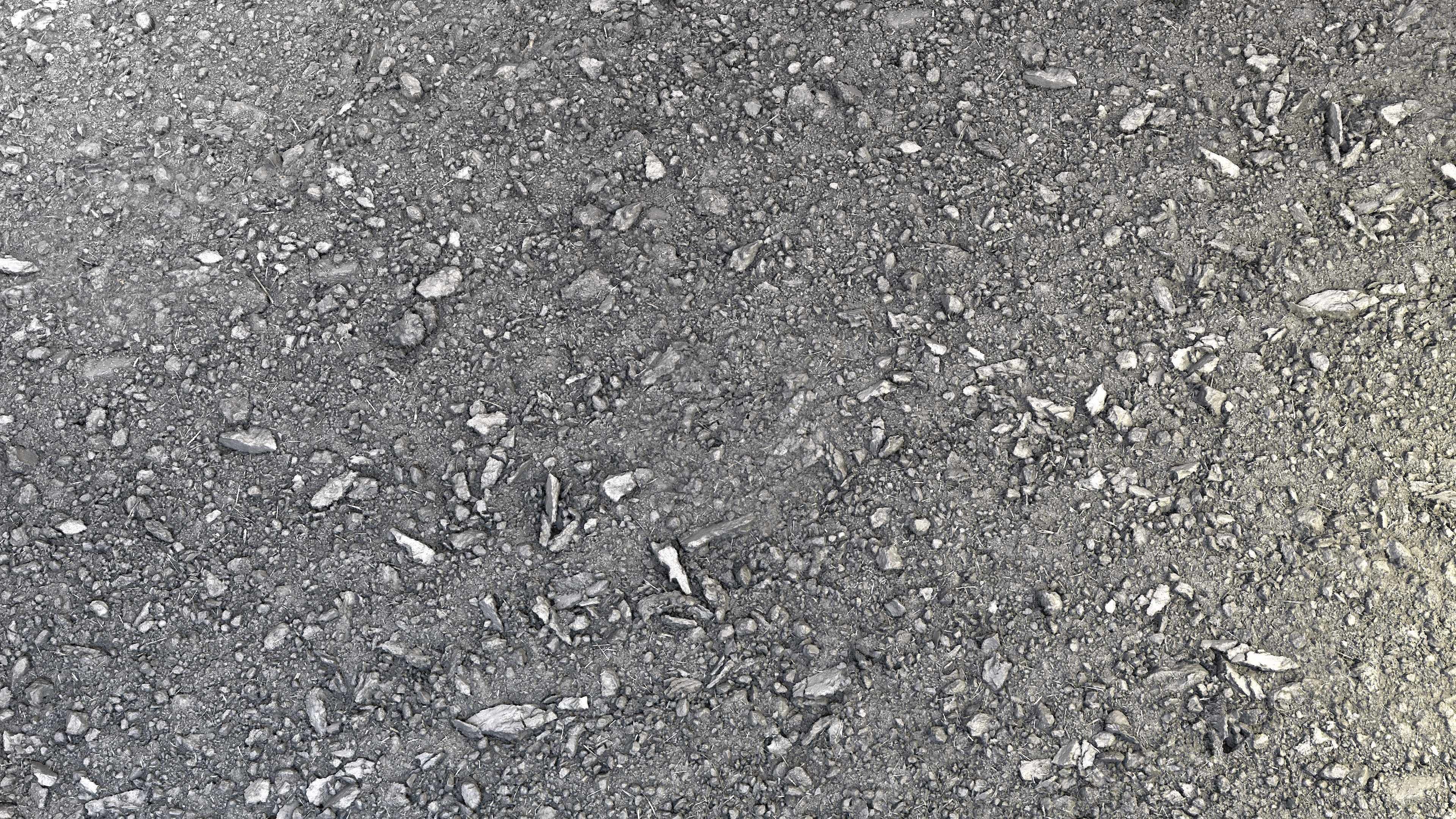 Ground-Humus 01 Texture_3