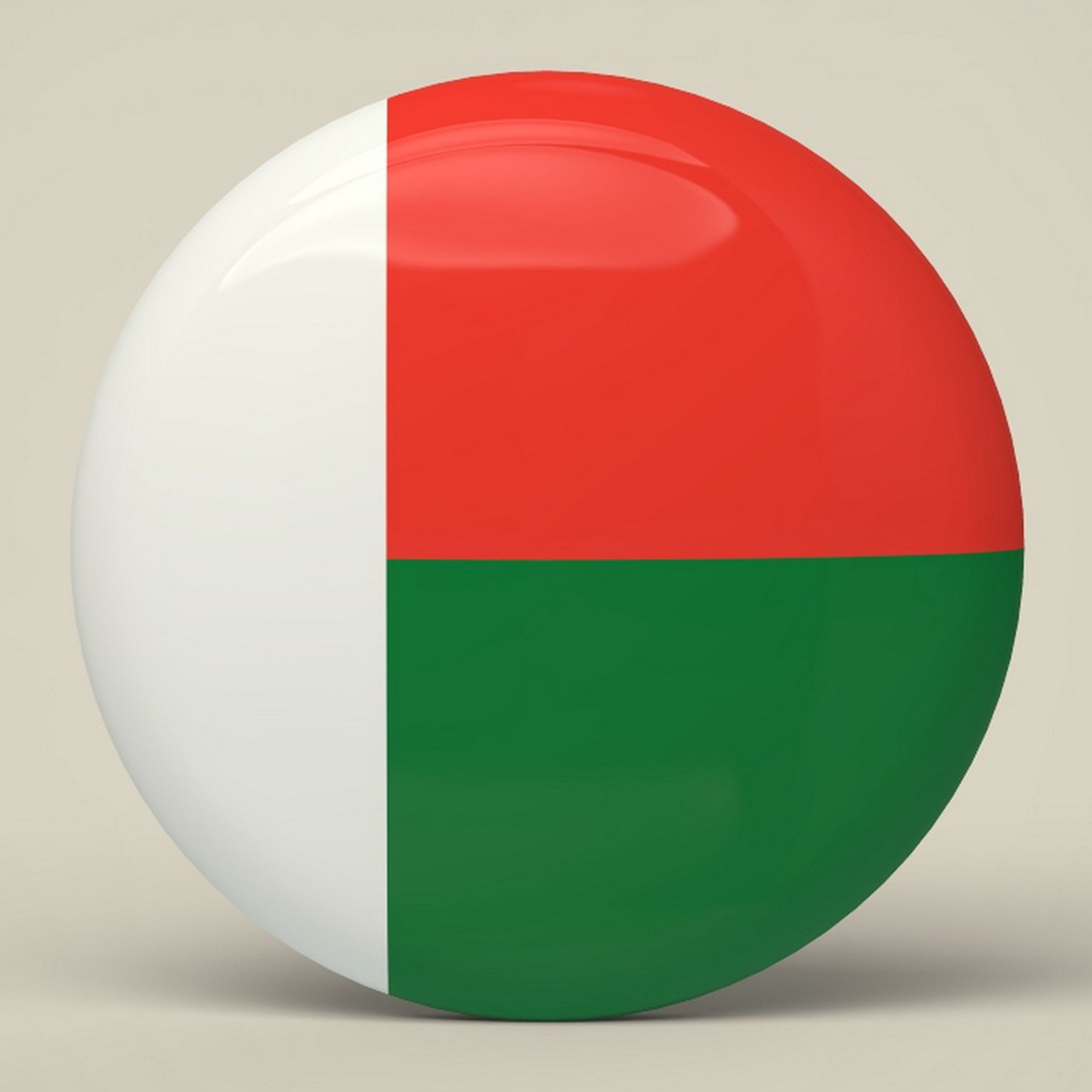 Madagascar Badge Low-poly 3D model_4