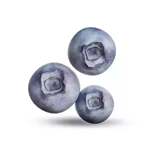 Blueberry three blueberries Low-poly 3D model
