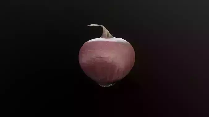 3D Scan Onion 03