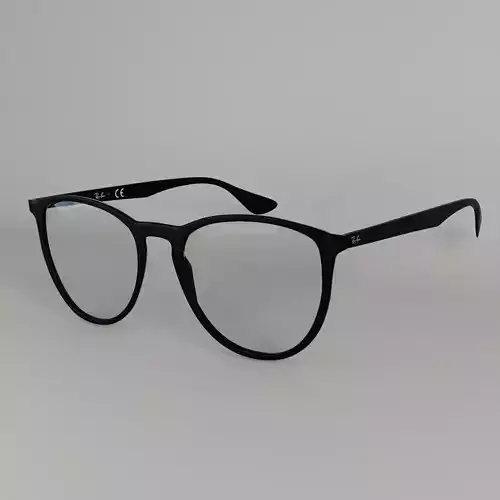Ray-Ban Erika glasses