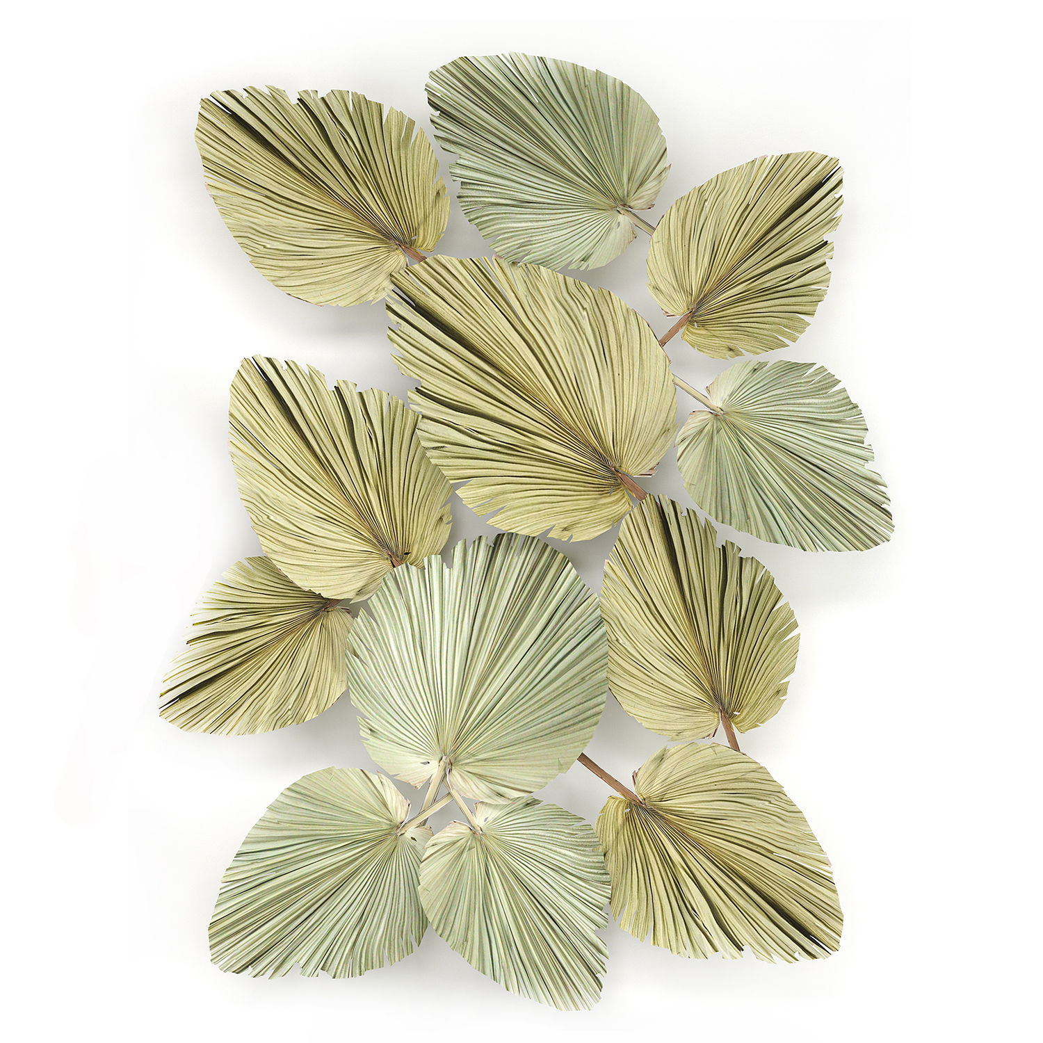 Wall panel made of dry palm leaves 226 3D model_2