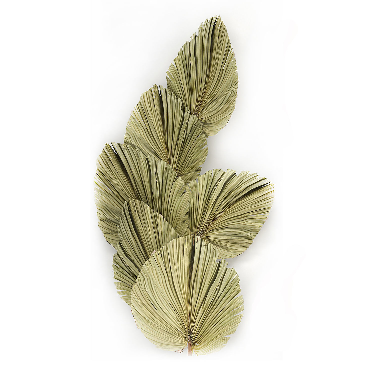 Wall panel made of dry palm leaves 226 3D model_5
