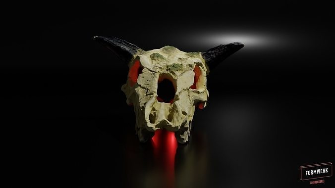 cattle skull 3D print model