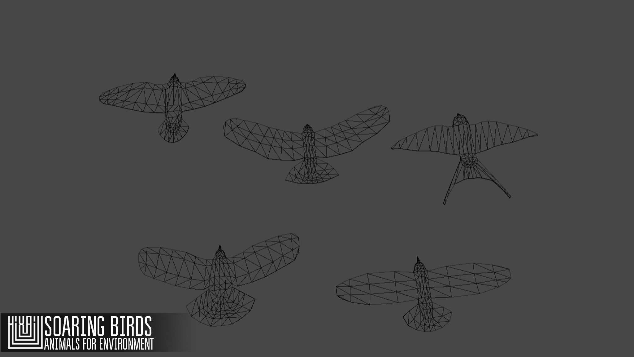 Soaring birds - animals for environment 3D model_10