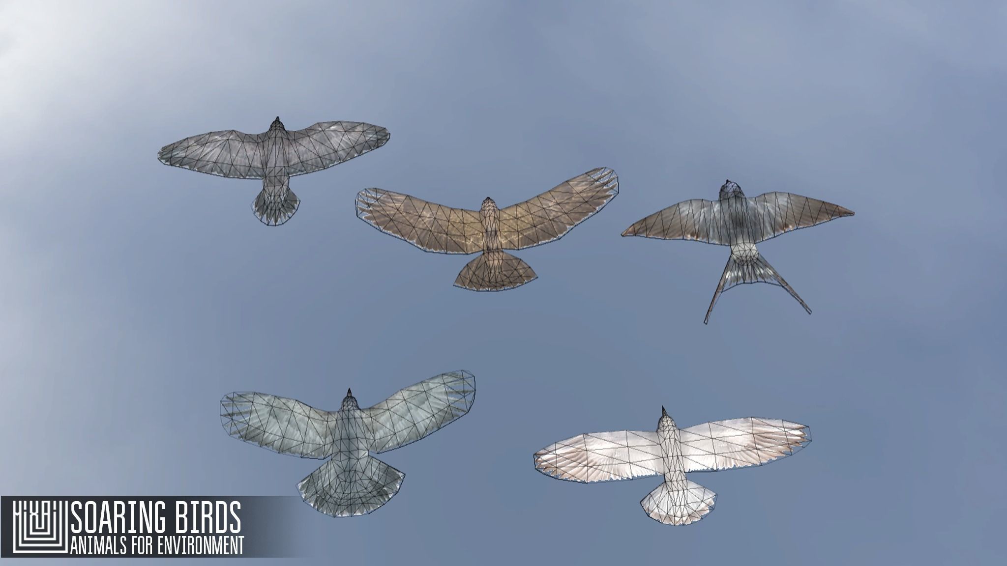 Soaring birds - animals for environment 3D model_1