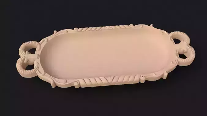 food tray