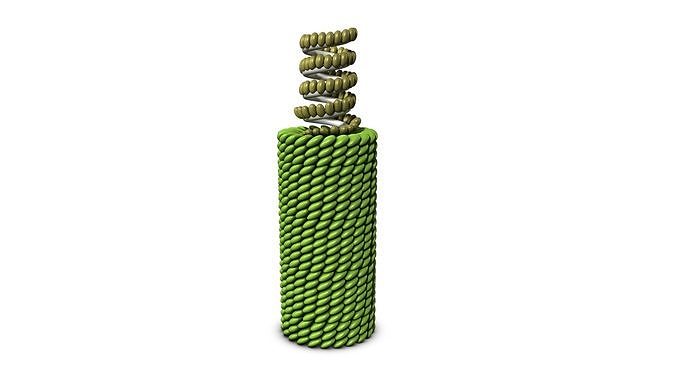 tobacco mosaic virus 3D model