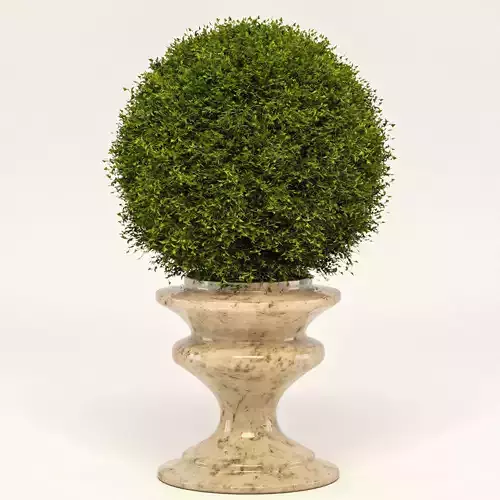 Bush collection Vol 01