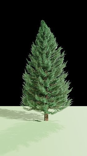 xmas tree Free 3D model