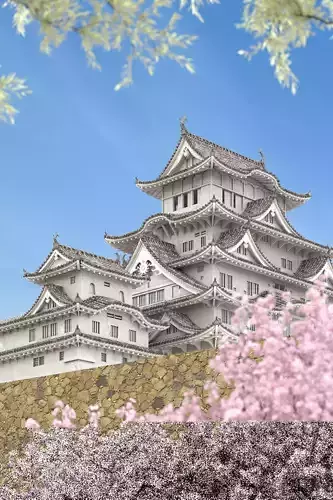 Chinese palace house