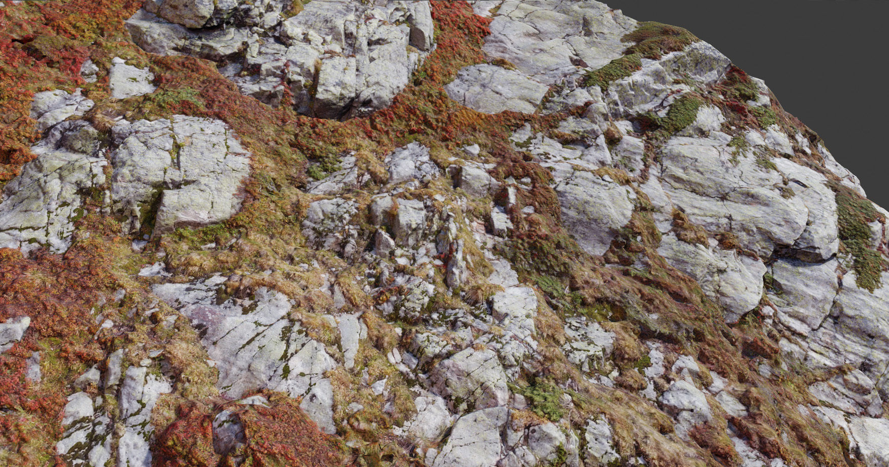 PBR Mountain Cliff  Slab Alps Scan Low-poly 3D model_1