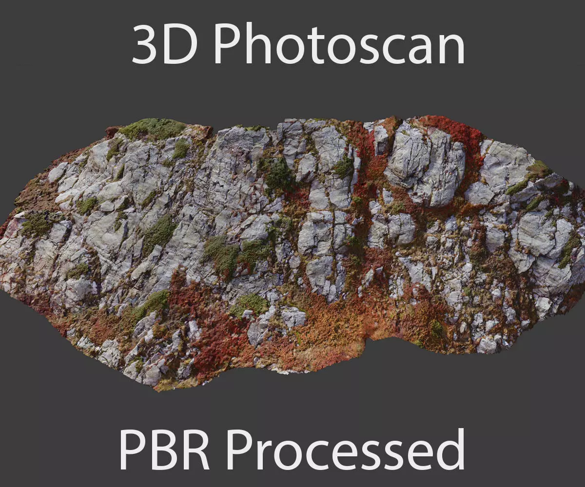 PBR Mountain Cliff  Slab Alps Scan Low-poly 3D model_0