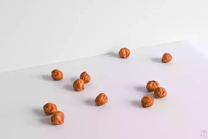 Hazelnut 3D model